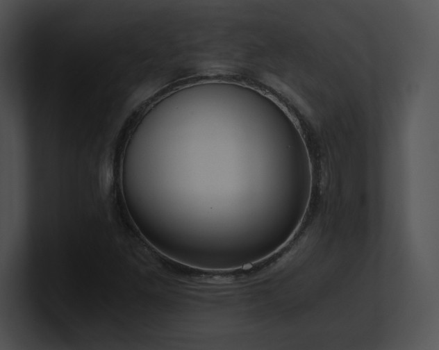 X0000100901261200806241245