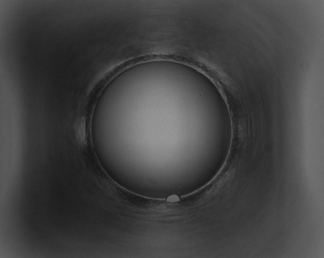 X0000100901262200806241245