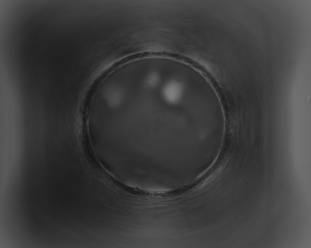 X0000100901263200806241245