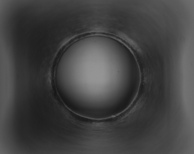 X0000100901264200806241245