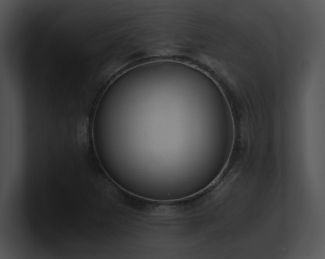 X0000100901265200806241245