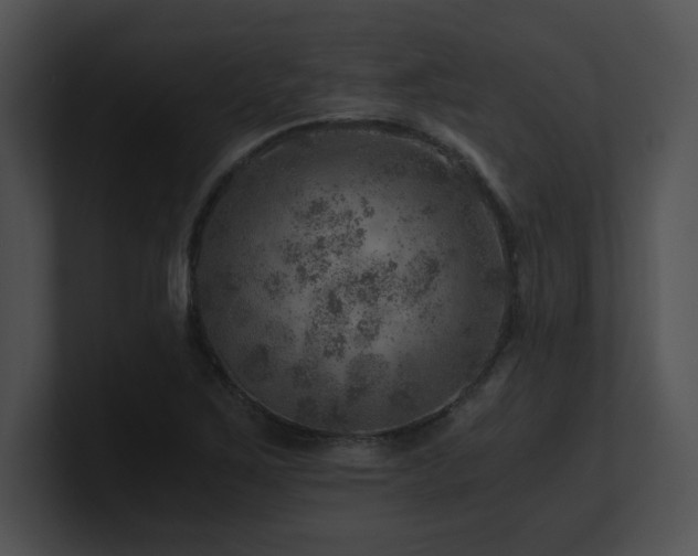 X0000100901267200806241245