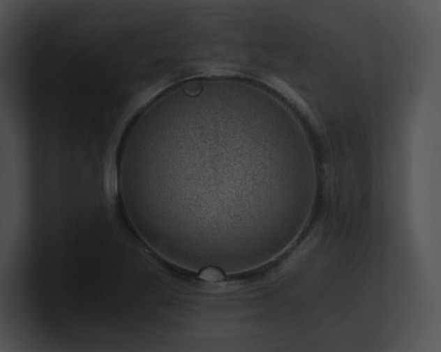 X0000100901269200806241245