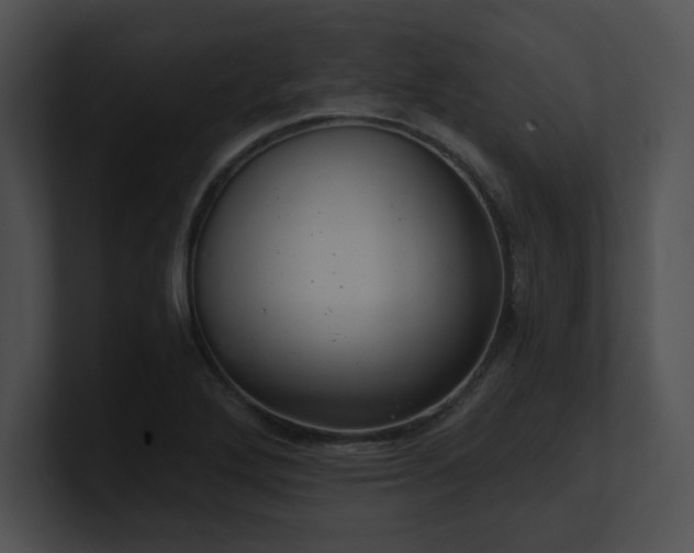 X0000100901272200806241245