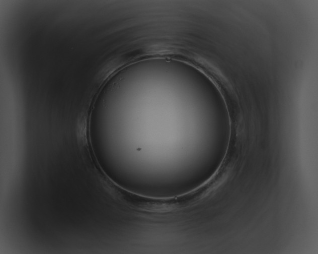 X0000100901273200806241245