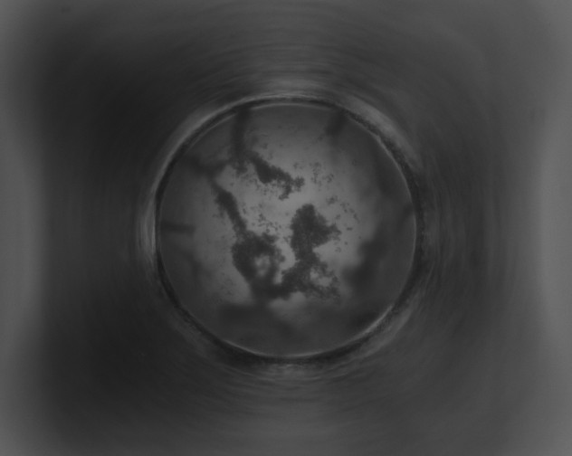 X0000100901275200806241244