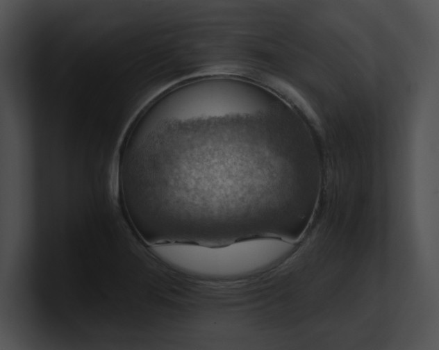 X0000100901276200806241244