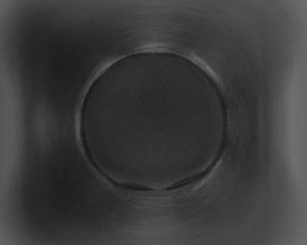 X0000100901277200806241244