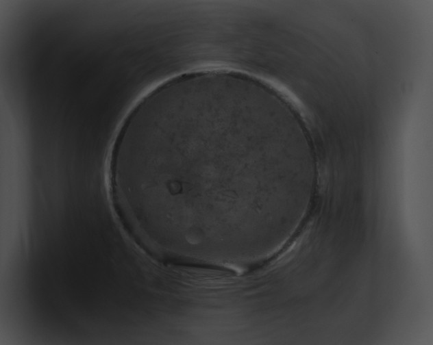 X0000100901279200806241244