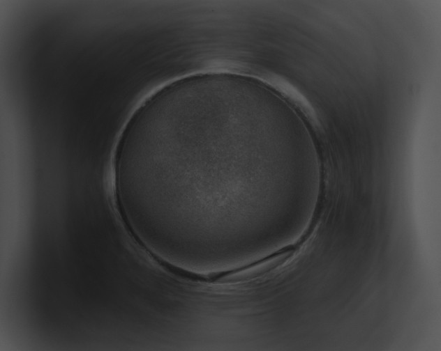 X0000100901280200806241244