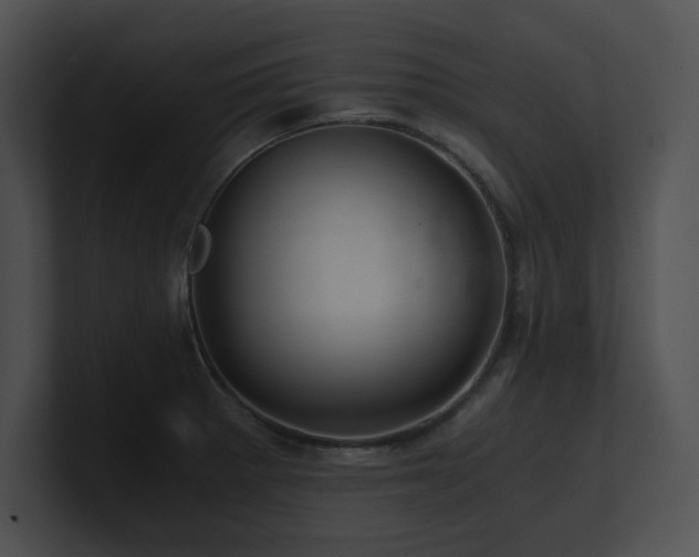 X0000100901281200806241244