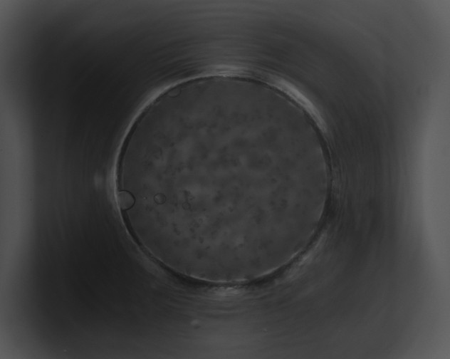 X0000100901283200806241244