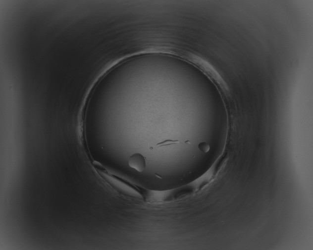 X0000100901284200806241244