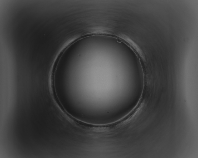 X0000100901285200806241244