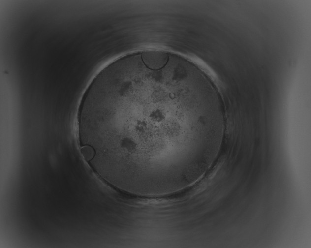 X0000100901287200806241244