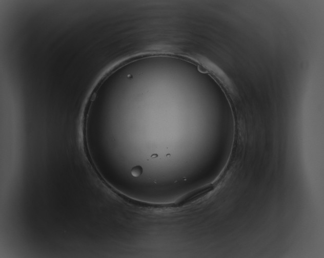 X0000100901288200806241244