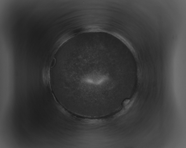 X0000100901289200806241244