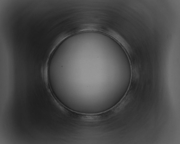 X0000100901290200806241244