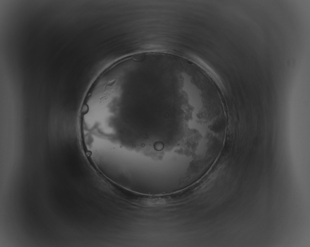 X0000100901291200806241244