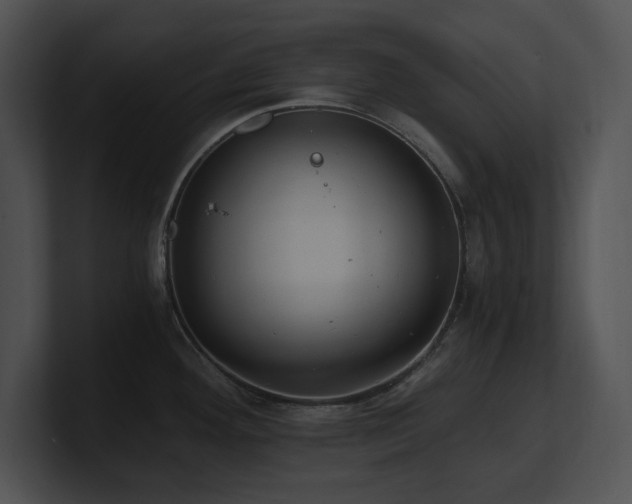 X0000100901292200806241244