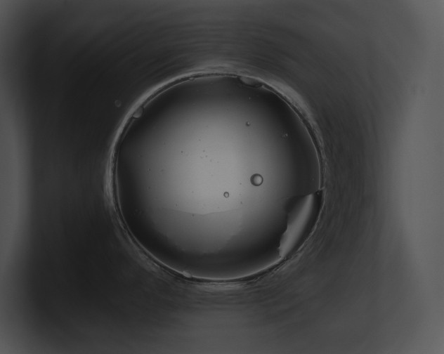 X0000100901296200806241244