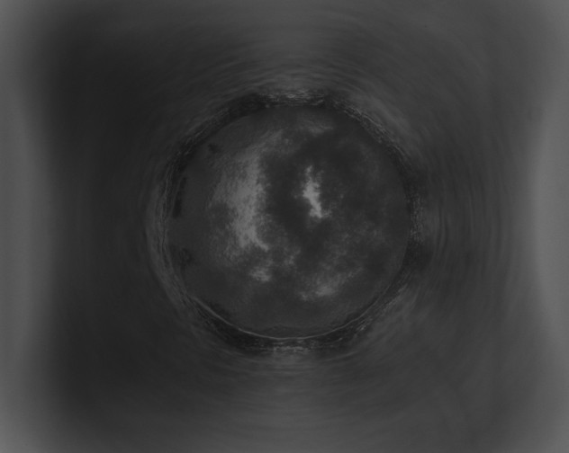 X0000100901297200806241244