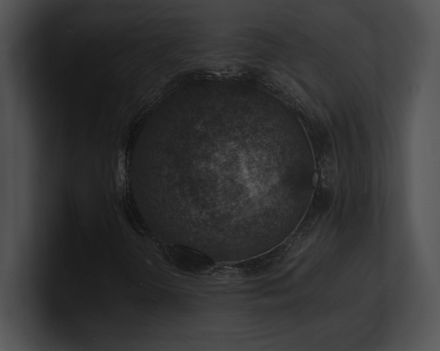 X0000100901298200806241244