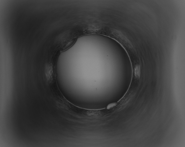 X0000100901299200806241244