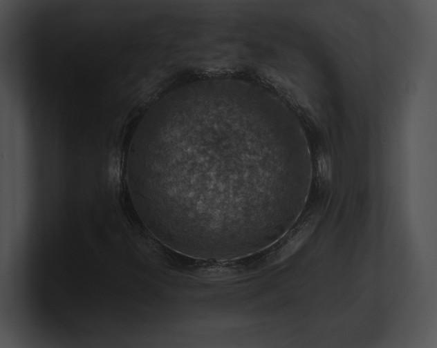 X0000100901300200806241244