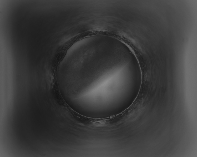X0000100901303200806241244
