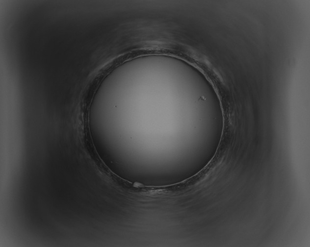 X0000100901304200806241244