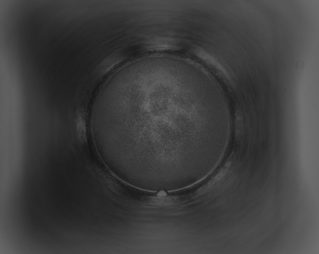 X0000100901305200806241244