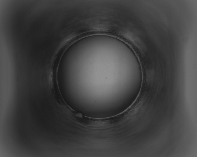 X0000100901307200806241244