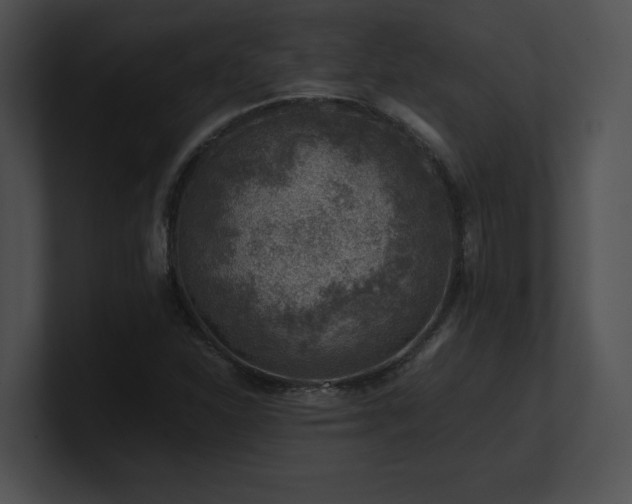 X0000100901310200806241244