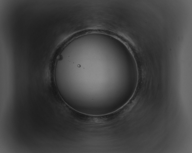 X0000100901311200806241244