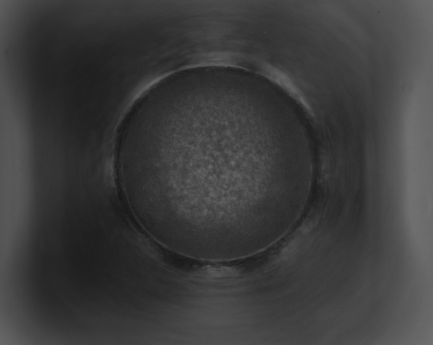 X0000100901312200806241244