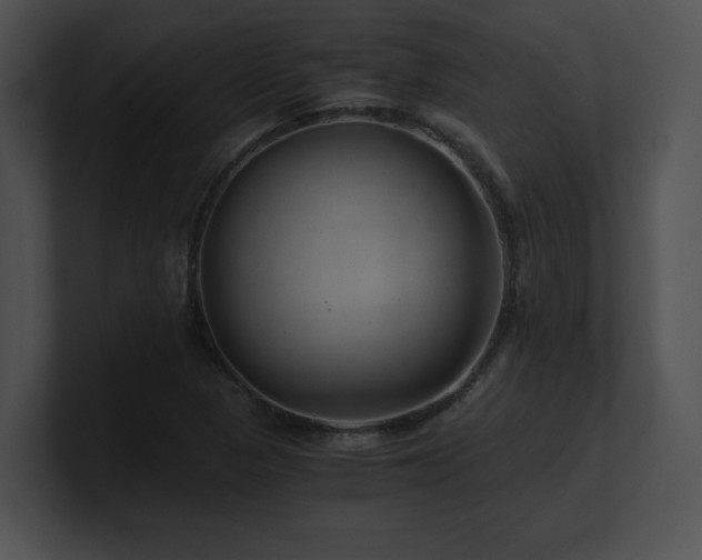 X0000100901313200806241244