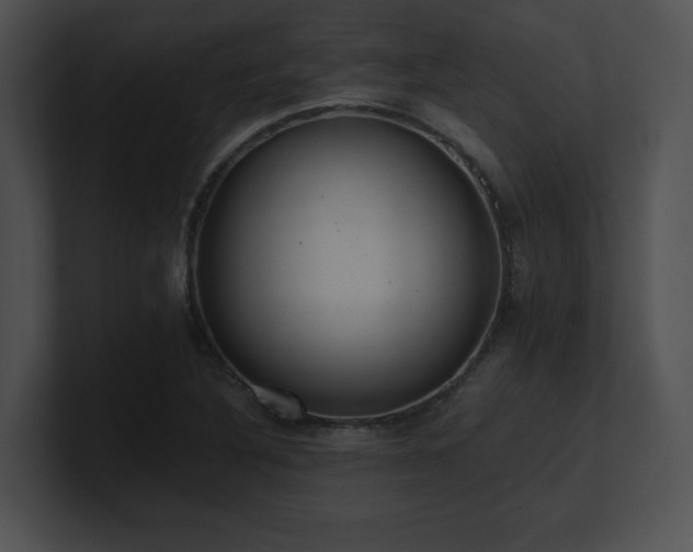 X0000100901316200806241244