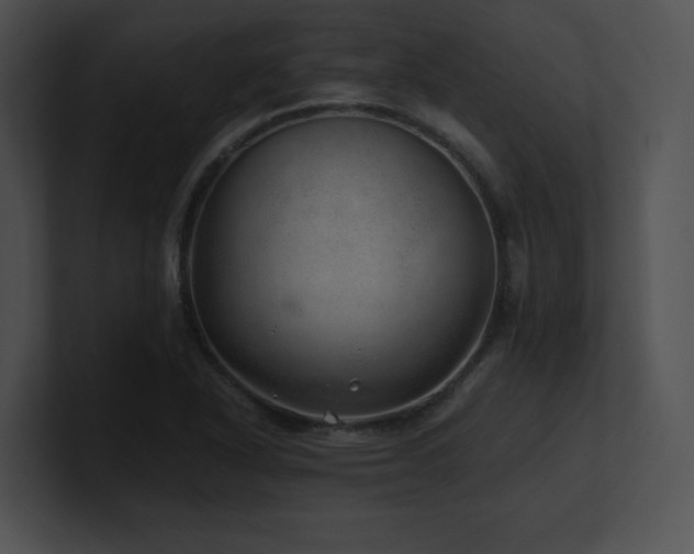 X0000100901318200806241244