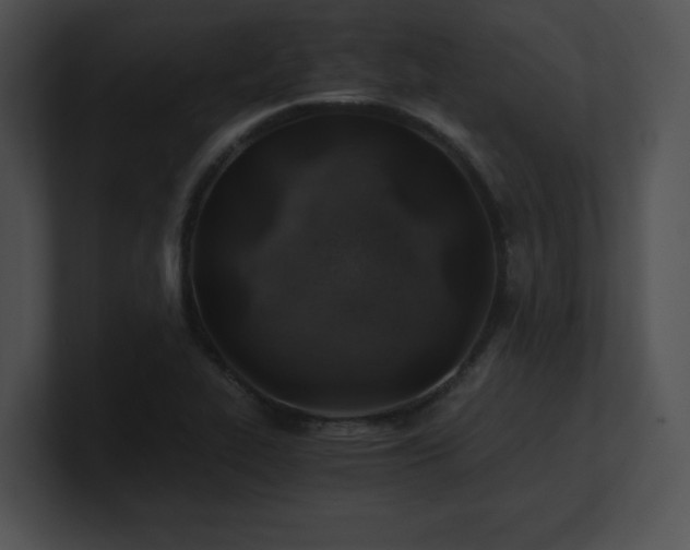 X0000100901319200806241244