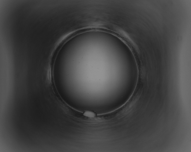 X0000100901320200806241244