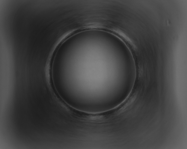 X0000100901325200806241244