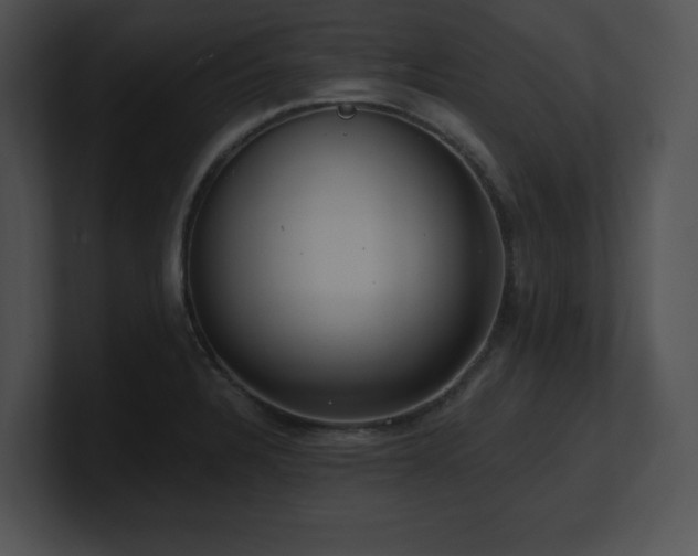 X0000100901328200806241244