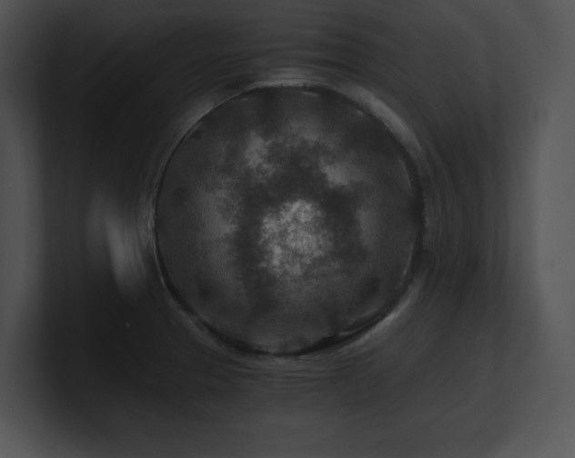 X0000100901329200806241244