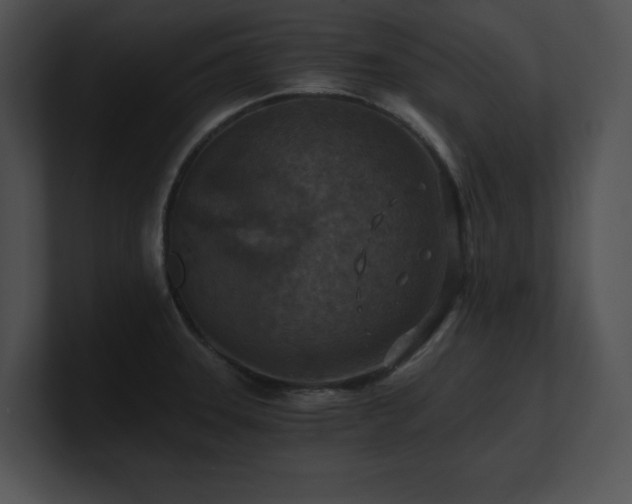 X0000100901331200806241244