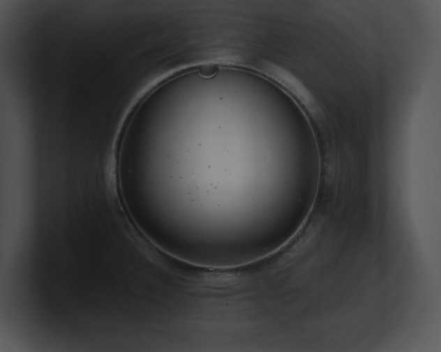 X0000100901332200806241244