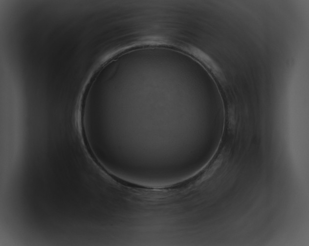 X0000100901334200806241244