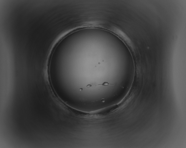 X0000100901336200806241244