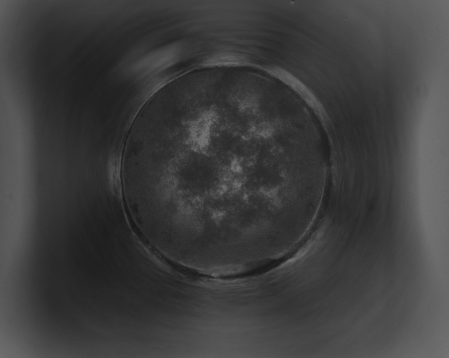 X0000100901337200806241244