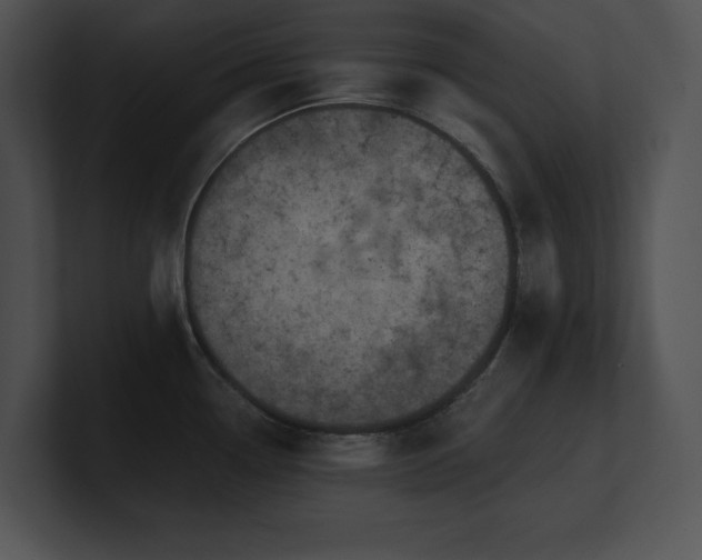 X0000100901338200806241244